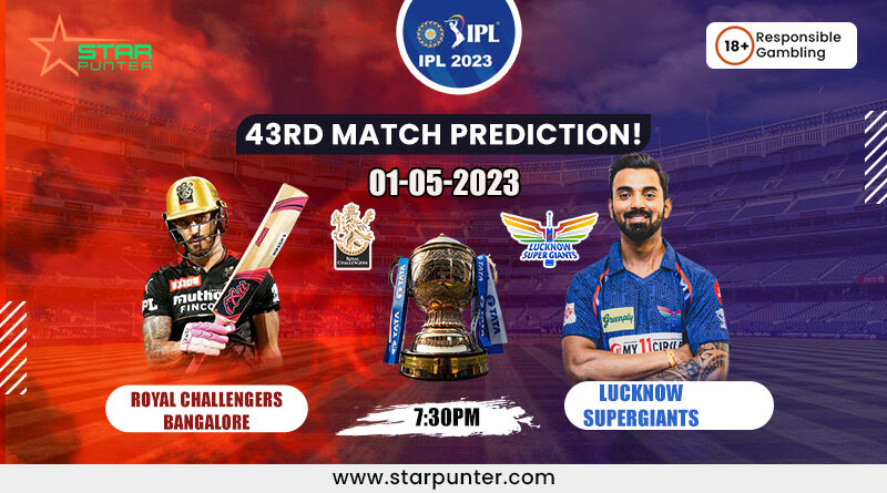 IPL betting